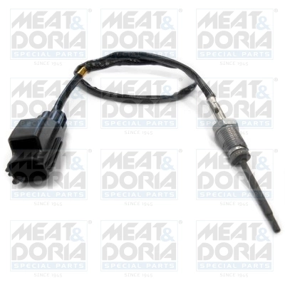 Sensor, exhaust gas temperature